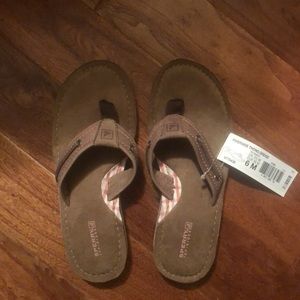 Sperry women’s size 6 NWt